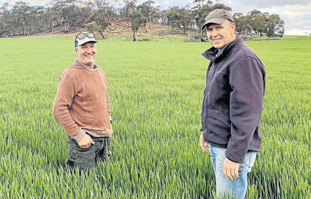 Brookton Farm Manager Scott Morton Turns True Believer in SE14® 1 SACOA FarmWeekly SE14 ScottMorton Image2