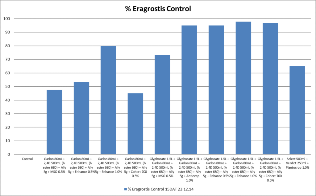Knockdown Control of Difficult Weeds : Fleabane, Melons & Grasses 6 image 10