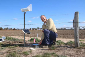 Improving Sclerotinia control in canola with BIOPEST® 7 image 100