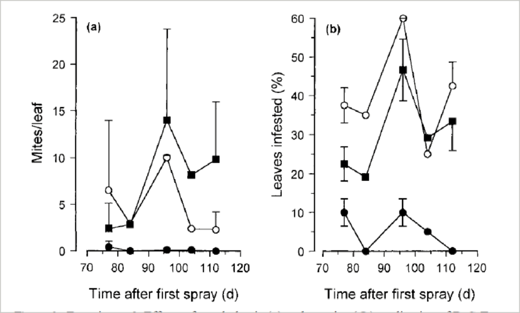 Managing Mites with BIOPEST® 4 image 44