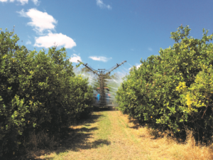 BIOPEST® in Orchards 2 image 49