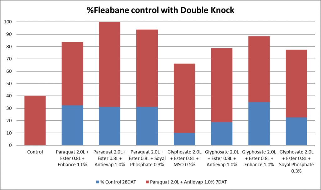 Knockdown Control of Difficult Weeds : Fleabane, Melons & Grasses 3 image 7