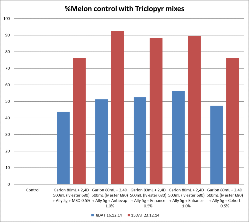 Knockdown Control of Difficult Weeds : Fleabane, Melons & Grasses 5 image 9