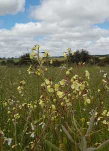 image 90