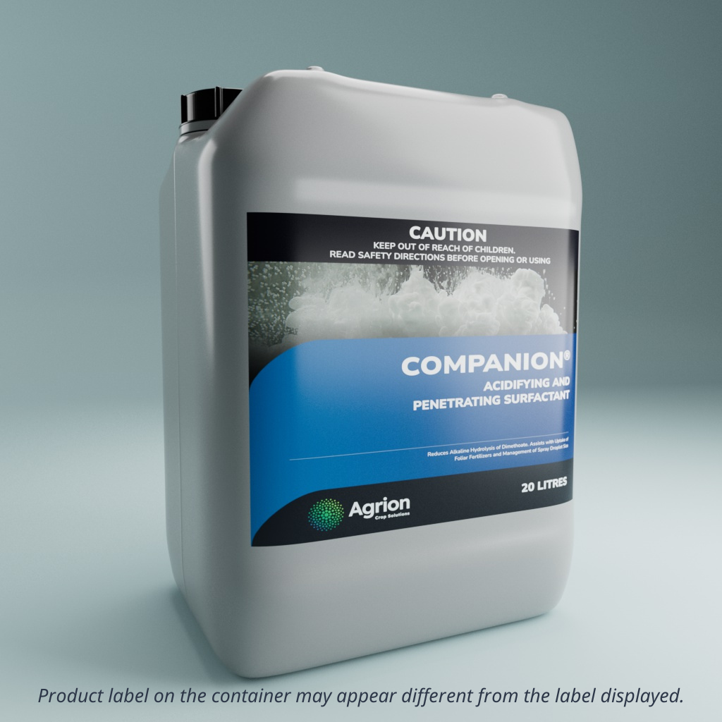 Companion 20L
