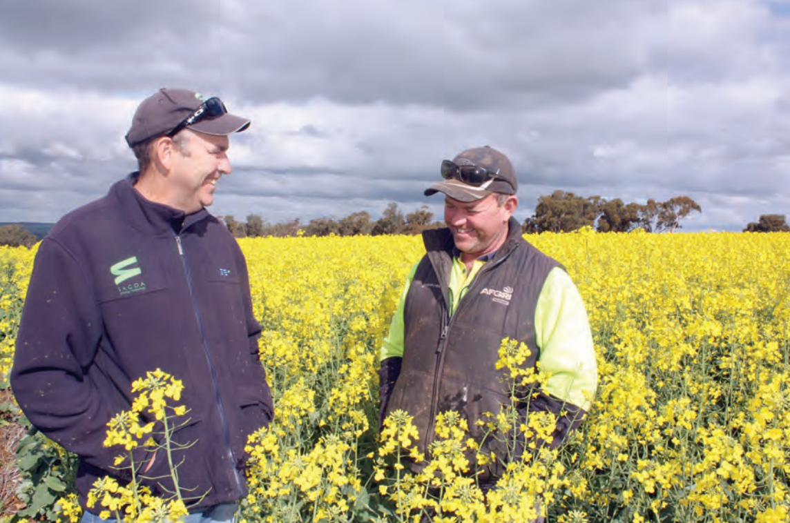 News and Stories 8 SACOA FarmWeekly SE14 Shines Image1 1